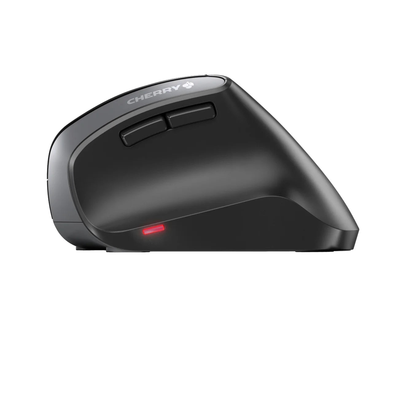 MW 4500 Mouse