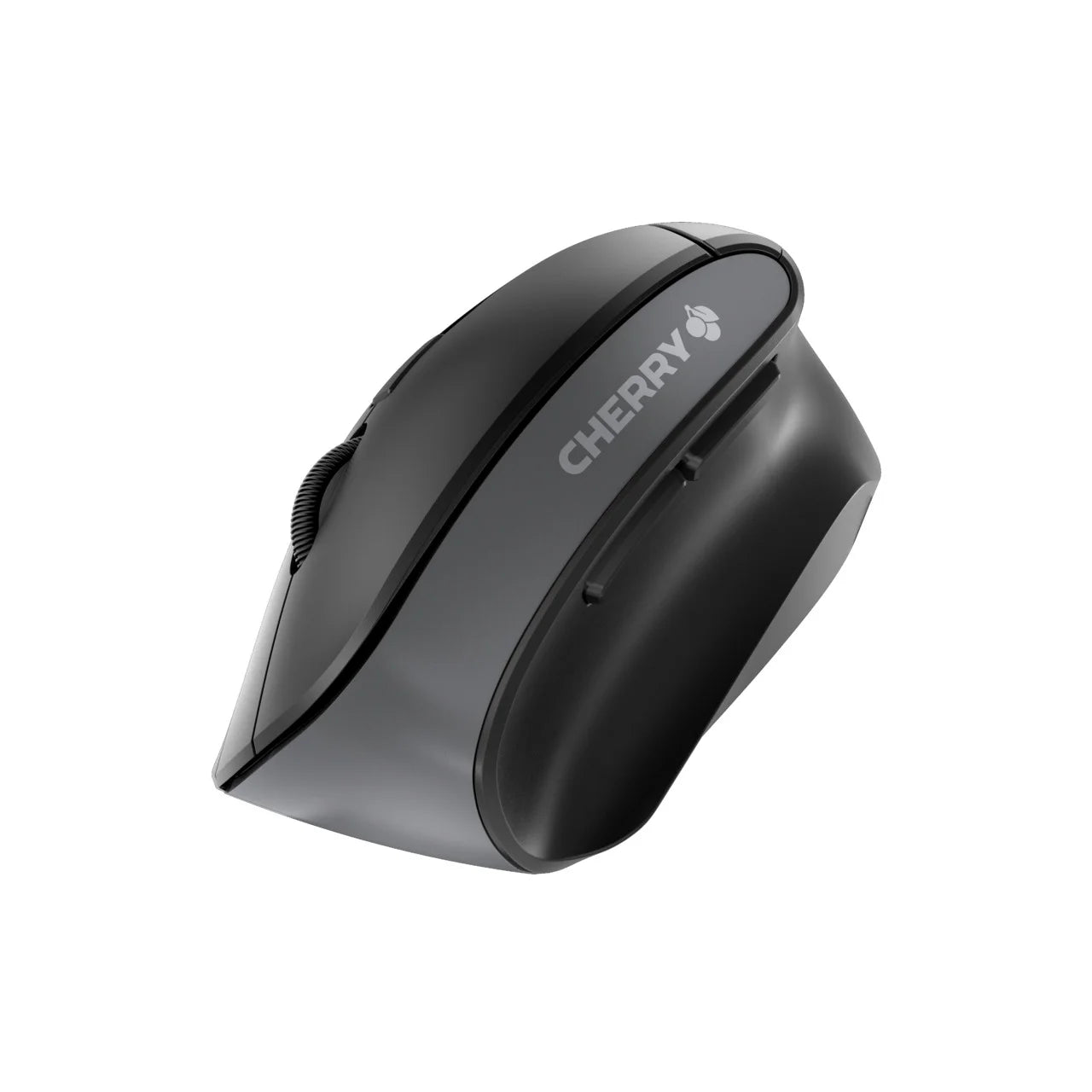 MW 4500 Mouse